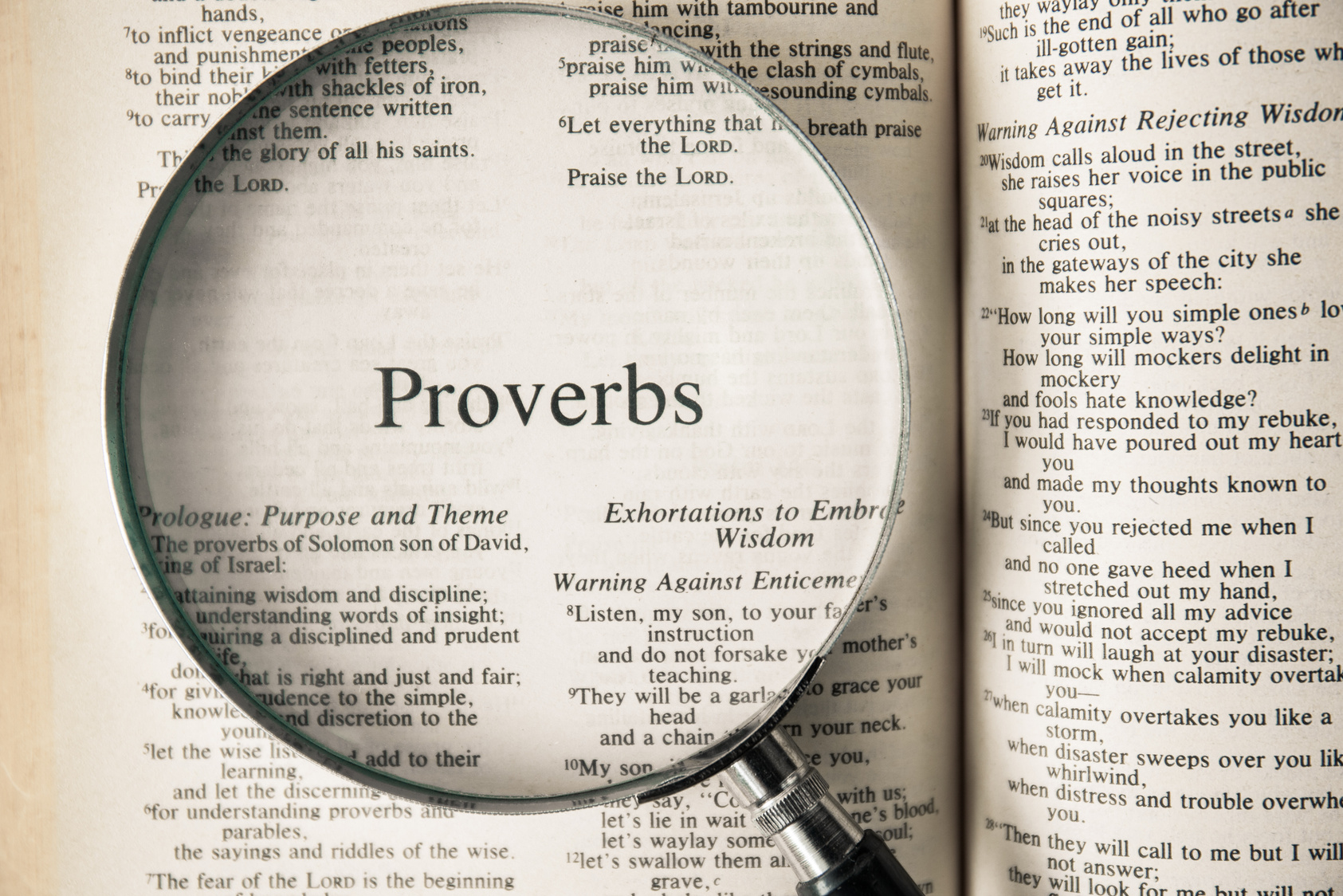 the book of Proverbs Reading The New International Version